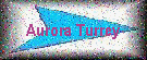 Aurora Turrey