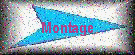 Montage